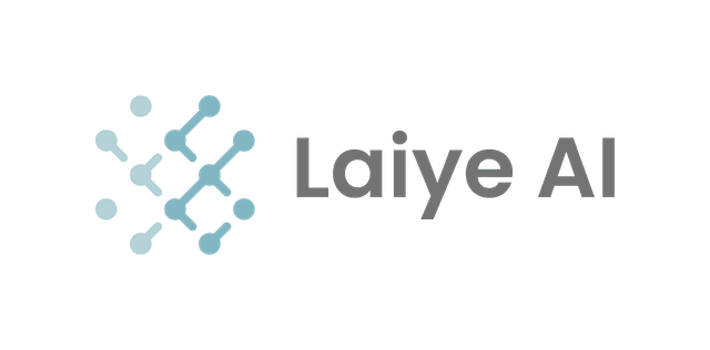Beijing Laiye Information Technology Co., Ltd.