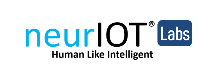 NEURIOT TECHNOLOGIES LLP